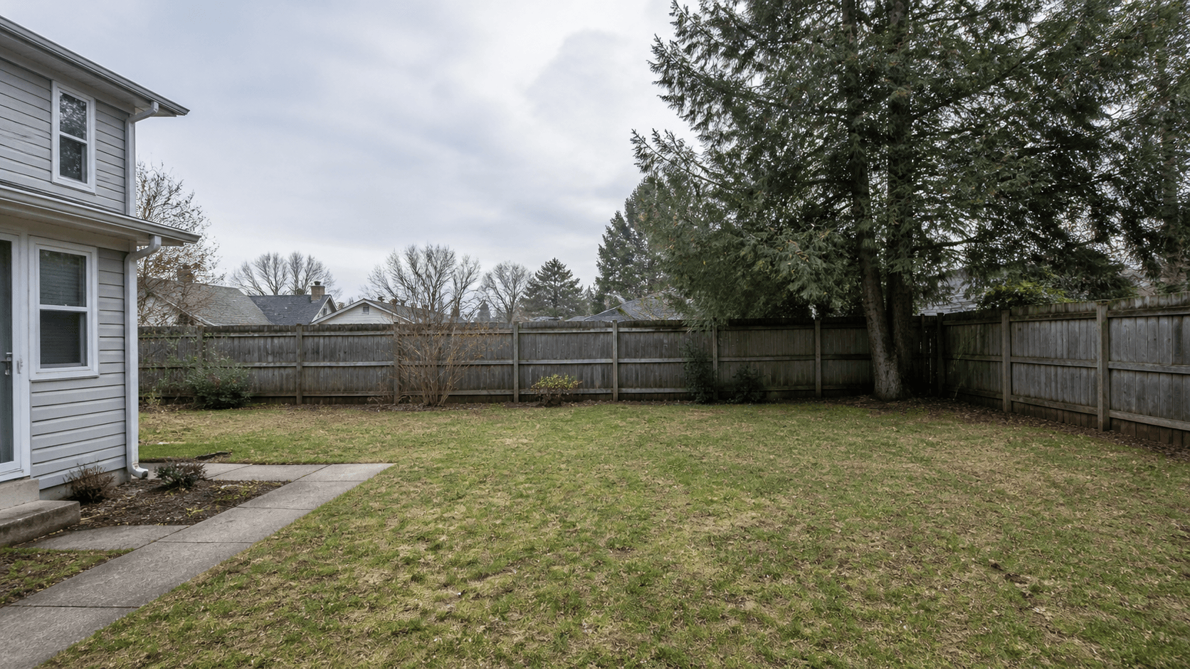 The same backyard before landscape design